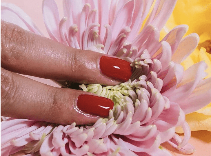 Elektra Conversation: Dr. Lila Nachtigall, Past President, North American Menopause Society