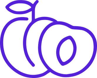 Vaginal-Wellness-Icon